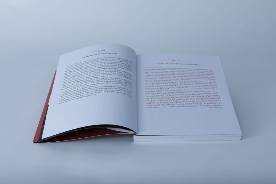Katalog Miroslav Oliva | Synergie hmoty