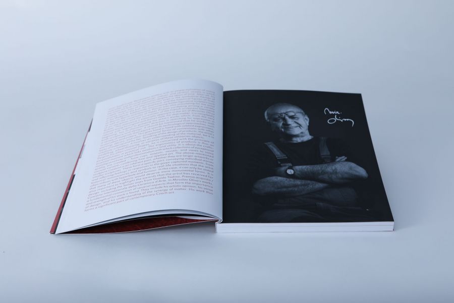 Katalog Miroslav Oliva | Synergie hmoty