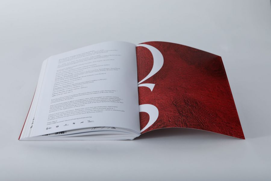 Katalog Miroslav Oliva | Synergie hmoty