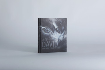 Jiří David | Síla tváře