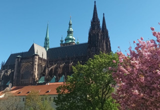 Sexta na literárně-historické exkurzi po Praze