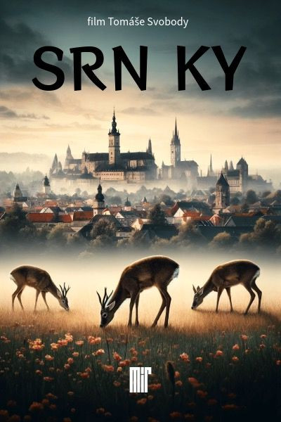 Srnky