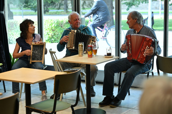 Vodňanské harmoniky