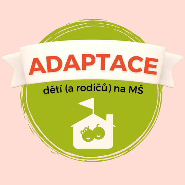 Adaptace nově přijatých dětí