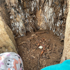 III. třída   Volám Tě sluníčko, vyjdi aspoň maličko