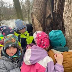 III. třída   Volám Tě sluníčko, vyjdi aspoň maličko