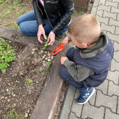 III. třída   Volám Tě sluníčko, vyjdi aspoň maličko