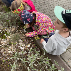 III. třída   Volám Tě sluníčko, vyjdi aspoň maličko