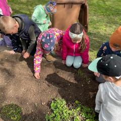 III. třída   Volám Tě sluníčko, vyjdi aspoň maličko