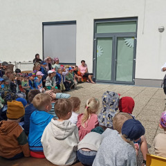 Žabičky- Až nás slunce zavolá 24/25