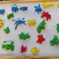 Co přinášíš podzime, to se brzy dozvíme 25/26 Kytičky