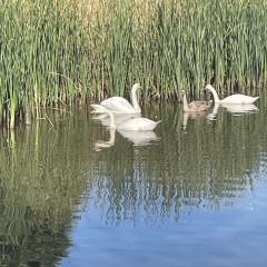 III. třída Co přinášíš podzime, to se brzy dozvíme