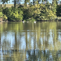III. třída Co přinášíš podzime, to se brzy dozvíme