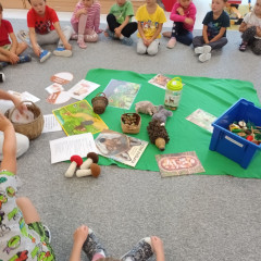 Co přinášíš podzime, to se brzy dozvíme 25/26 Kytičky