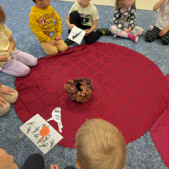 Co přinášíš podzime, to se brzy dozvíme 25/26 Sluníčka