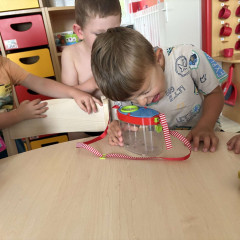 II. třída - červená - Co přinášíš podzime, to se brzy dozvíme!