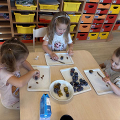 II. třída - červená - Co přinášíš podzime, to se brzy dozvíme!