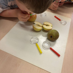 II. třída - červená - Co přinášíš podzime, to se brzy dozvíme!