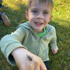 II. třída - červená - Co přinášíš podzime, to se brzy dozvíme!