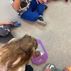 III. třída Co přinášíš podzime, to se brzy dozvíme