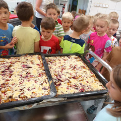 Co přinášíš podzime, to se brzy dozvíme 25/26 Kytičky