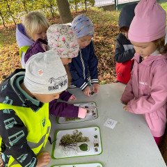 Environmentální program pro předškoláky