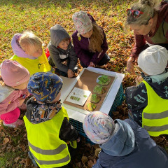 Environmentální program pro předškoláky