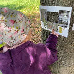 Environmentální program pro předškoláky