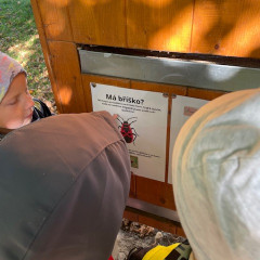 Environmentální program pro předškoláky