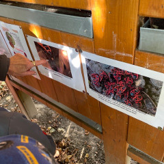 Environmentální program pro předškoláky