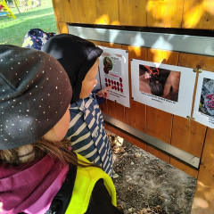 Environmentální program pro předškoláky