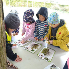 Environmentální program pro předškoláky