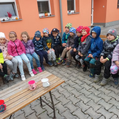 Kytičky - projekt "Poznej svého kamaráda 1" 2025