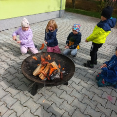 Kytičky - projekt "Poznej svého kamaráda 1" 2025