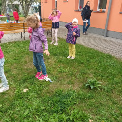 Kytičky - projekt "Poznej svého kamaráda 1" 2025