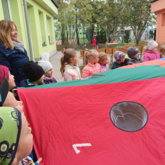 Kytičky - projekt "Poznej svého kamaráda 1" 2025