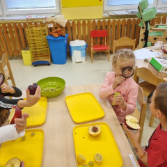 Co přinášíš podzime, to se brzy dozvíme 25/26 Sluníčka