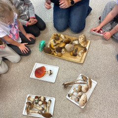 III. třída Co přinášíš podzime, to se brzy dozvíme