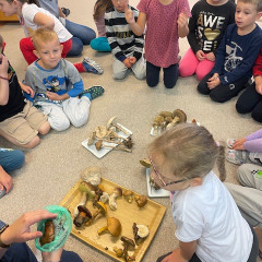 III. třída Co přinášíš podzime, to se brzy dozvíme