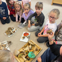 III. třída Co přinášíš podzime, to se brzy dozvíme