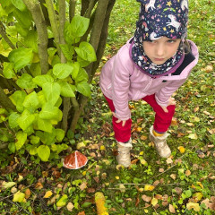 III. třída Co přinášíš podzime, to se brzy dozvíme