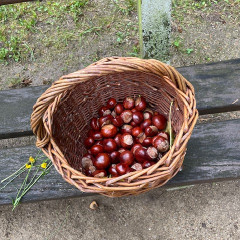 III. třída Co přinášíš podzime, to se brzy dozvíme