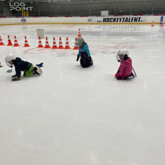 Projekt,,Děti do bruslí"