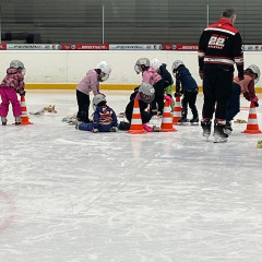 Projekt,,Děti do bruslí"