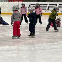 Projekt,,Děti do bruslí"