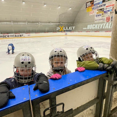 Projekt,,Děti do bruslí"