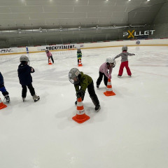 Projekt,,Děti do bruslí"