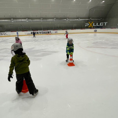 Projekt,,Děti do bruslí"