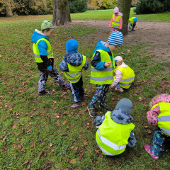 Co přinášíš podzime, to se brzy dozvíme 25/26 Sluníčka