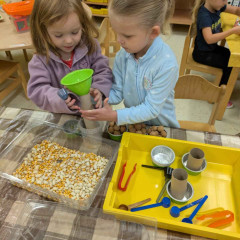 Co přinášíš podzime, to se brzy dozvíme 25/26 Sluníčka